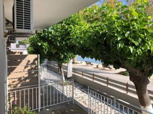 Fotografie z fotogalerie ubytování Moukas Seaside Apartments Romantico v destinaci Selianitika