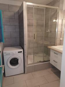 a bathroom with a washing machine and a shower at apartment near the Breton coast 5 Location appartement près des côtes bretonnes in Saint-Brieuc