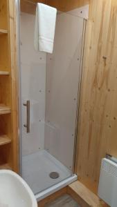 a shower in a bathroom with a toilet and a sink at Gästehaus Schloss Plaue in Brandenburg an der Havel