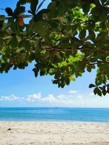 a view of the beach from a tree branch at De​ Lanta place in Ko Lanta