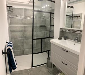 een badkamer met een douche, een wastafel en een spiegel bij Appartement 4 étoiles Golfe de St Tropez in Cogolin