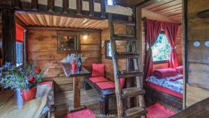 a room with a bunk bed and a ladder at Tree House Gorski Lazi in Tršće