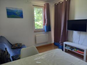 Televízia a/alebo spoločenská miestnosť v ubytovaní Charmant logement sur la station de Val Louron