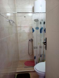 a bathroom with a shower with a toilet and a sink at Kuca za odmor RADMILA - Rogljevacke pivnice in Rogljevo