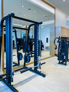 Fitness centrum a/nebo fitness zařízení v ubytování bnbmehomes - Address Beach Resort
