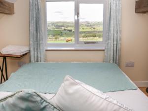 Un dormitorio con una cama y una ventana con un caballo fuera en Bryn Dedwydd Cottage en Betws-y-coed