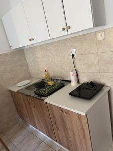 uma cozinha com um lavatório e uma bancada em Vert Cozy Apartment Free Parking em Novi Sad