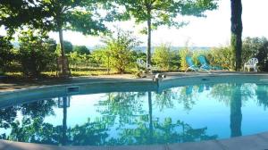 una piscina con 2 sillas y un perro. en La Françonne Blanc - Gîte de charme en Provence, en Mirabel-aux-Baronnies