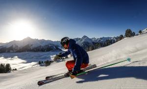 Una persona está esquiando por una pendiente cubierta de nieve. en Alte Schmiede Talbach, en Laimach
