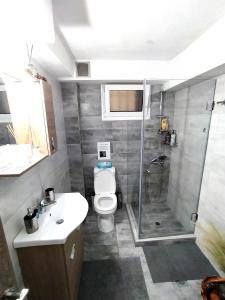 a bathroom with a shower and a toilet and a sink at MY HOME Trikala in Tríkala +19 photos