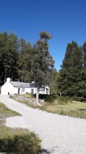 uma estrada de cascalho que leva a uma casa branca em Torgoyle Cottage em Inverness