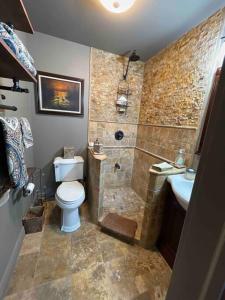 a bathroom with a shower and a toilet and a sink at Redefined Alchemy - The Studio in Little Falls
