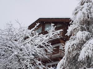 a house covered in snow next to a tree at Appartement luxe 130m² avec sauna et jacuzzi, 3 chambres, La Tania - FR-1-513-41 in La Tania +4 photos