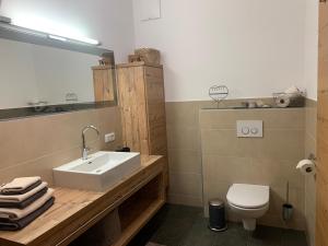 a bathroom with a sink and a toilet at Lil´s Dahoam in Zell am See