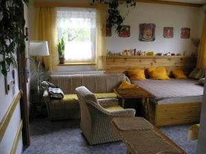 salon z kanapą i oknem w obiekcie Apartment Marie w mieście Jáchymov