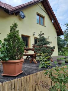 ジェロナ・グラにあるZakątek Harmoniiの木の甲板に鉢植えの木が2本ある家