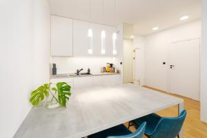 Kuchyňa alebo kuchynka v ubytovaní Apartament SAND SurfingBird Dźwirzyno