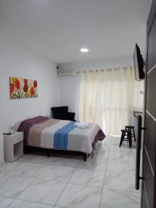 プエルトイグアスにあるTres Fronteras Apart 1のベッドルーム(ベッド1台、椅子、テレビ付)