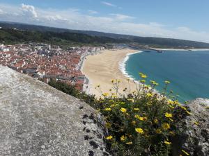 een uitzicht op een strand en de oceaan met gele bloemen bij Aconchego Alojamento Local in Nazaré