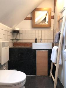 a bathroom with a sink and a toilet and a mirror at s'Scheunle - dein Ferienhäusle im Donautal in Beuron