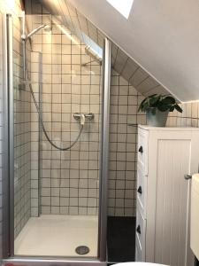 een badkamer met een douche en een glazen deur bij s'Scheunle - dein Ferienhäusle im Donautal in Beuron