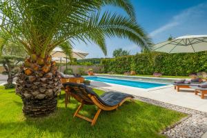een stoel en een palmboom naast een zwembad bij Villa Bella- White in Rovinjsko Selo