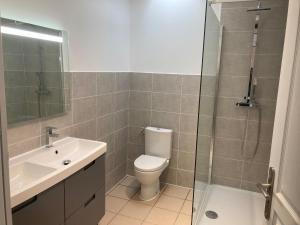 ein Bad mit einem WC, einer Dusche und einem Waschbecken in der Unterkunft Villa avec son spa privatif proche de Rocamadour in Gramat
