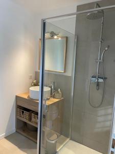 a bathroom with a shower and a sink and a mirror at Les Côteaux de la Grange in Mercuer