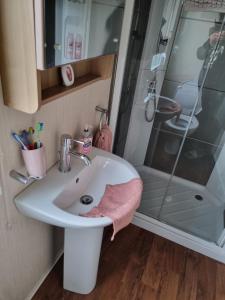 y baño con lavabo y ducha. en Beautiful 3 bed holiday home en Port Seton