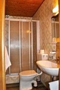 a bathroom with a shower and a toilet and a sink at Gästehaus Pension Edelweiss in Kolsass