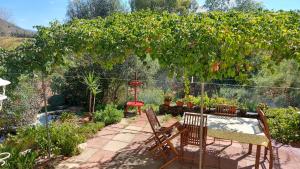 un giardino con tavolo e sedie sotto un albero di Sa domu 'e pisittu a Iglesias