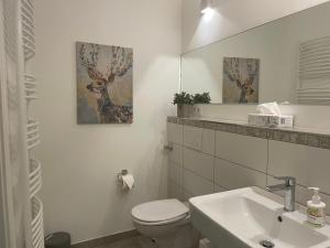 a bathroom with a toilet and a sink and a mirror at Weberhof Apartment 2 in Münster