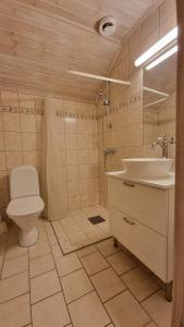 y baño con aseo, lavabo y ducha. en Bergland apartment 24 en Kragerø