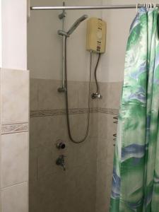 y baño con ducha y cortina de ducha. en L'Ardenne Bleue Appartement en Rivière Noire