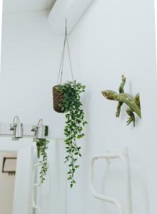 a room with two plants hanging on the wall at Senhora do Cabo Meco Homy Holidays in Sesimbra