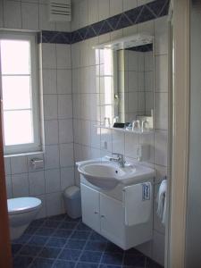 a bathroom with a sink and a toilet at Pension Schlossblick in Nebersdorf