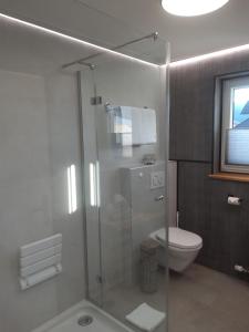 La salle de bains est pourvue d'une douche en verre et de toilettes. dans l'établissement Ferienwohnungen Kienesberger, à Tiefgraben