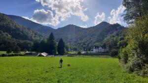 Ein Mann steht auf einem Feld und fliegt einen Drachen in der Unterkunft Le Val Éveillé 4 étoiles - maison de maître de 1773 in Arudy