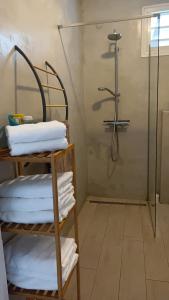 y baño con ducha y perchero de toallas. en T2 jardin clos Les Nids de la Colline en Saint-François