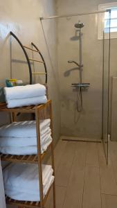 Bilik mandi di T2 jardin clos Les Nids de la Colline