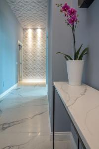 a vase with a flower on a counter in a hallway at Frida apartments by Dimore in Sicily in Siracusa +29 photos