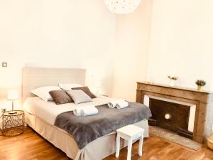 a bedroom with a large bed and a fireplace at Le Pari Nîmois, avec Parking, Centre Ville Arènes in Nîmes