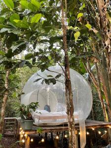 Zahrada ubytování Glamping Amazonas