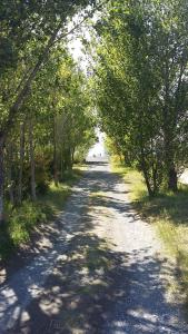 un camino de tierra con árboles a ambos lados en Hotel Today , Խաղաղության լողափ en Shorzha