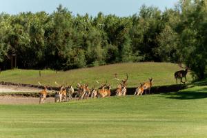 Fotografia z galérie ubytovania La Foresteria del Golf v destinácii Isola Albarella