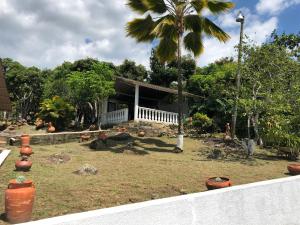 una casa con una palmera delante de ella en Casa de campo con hermosa vista, en Anapoima