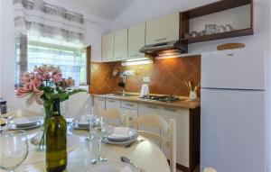 Kuchyň nebo kuchyňský kout v ubytování 5 Bedroom Awesome Home In Labin