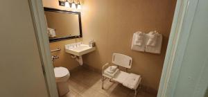 a bathroom with a toilet and a sink and a mirror at Penn Harris Hotel Harrisburg, Trademark by Wyndham in Harrisburg