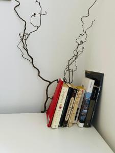 The library in a panziókat