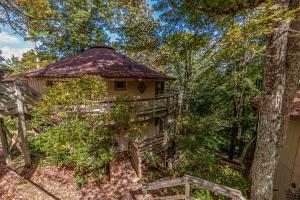 una casa en el árbol en medio del bosque en Treehouse Lodge at Sugar Mountain, en Sugar Mountain
